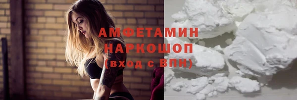 молекула духа Арсеньев
