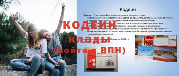 молекула духа Арсеньев